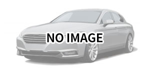 modelLogo